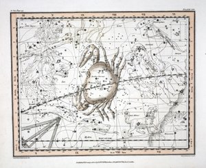 Konstelacje (tabl. XVI) Rak, z „Atlasu niebieskiego” Aleksandra Jamiesona, wyd. Londyn 1822 (ręcznie kolorowane grawerowanie)